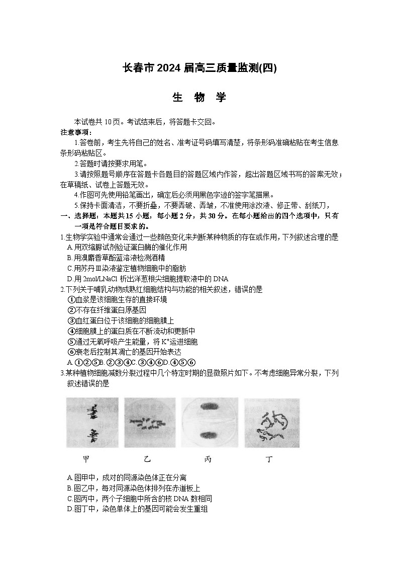 2024届吉林省长春市高三下学期质量监测（四）生物试题01