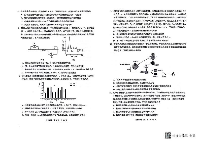山东省青岛市2024年高三年级第二次适应性检测生物试题02
