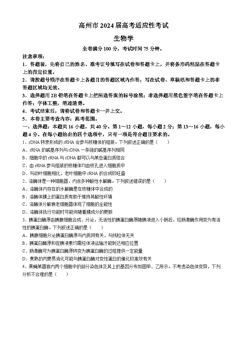 2024届广东省茂名市高州市高三下学期高考适应性考试（三模）生物试题01