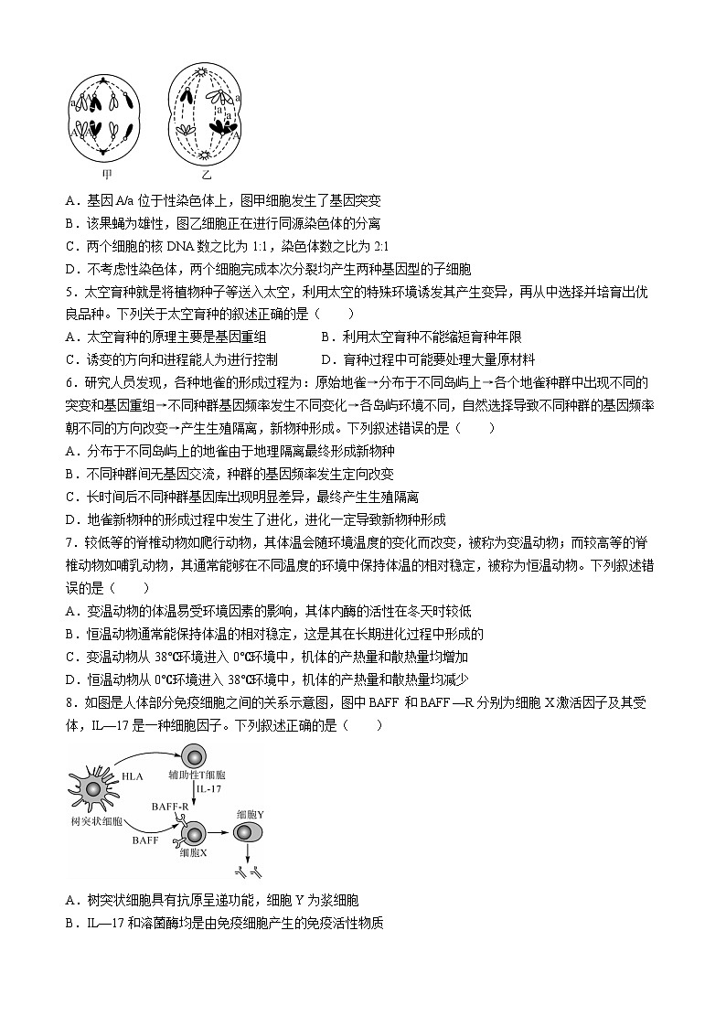 2024届广东省茂名市高州市高三下学期高考适应性考试（三模）生物试题02
