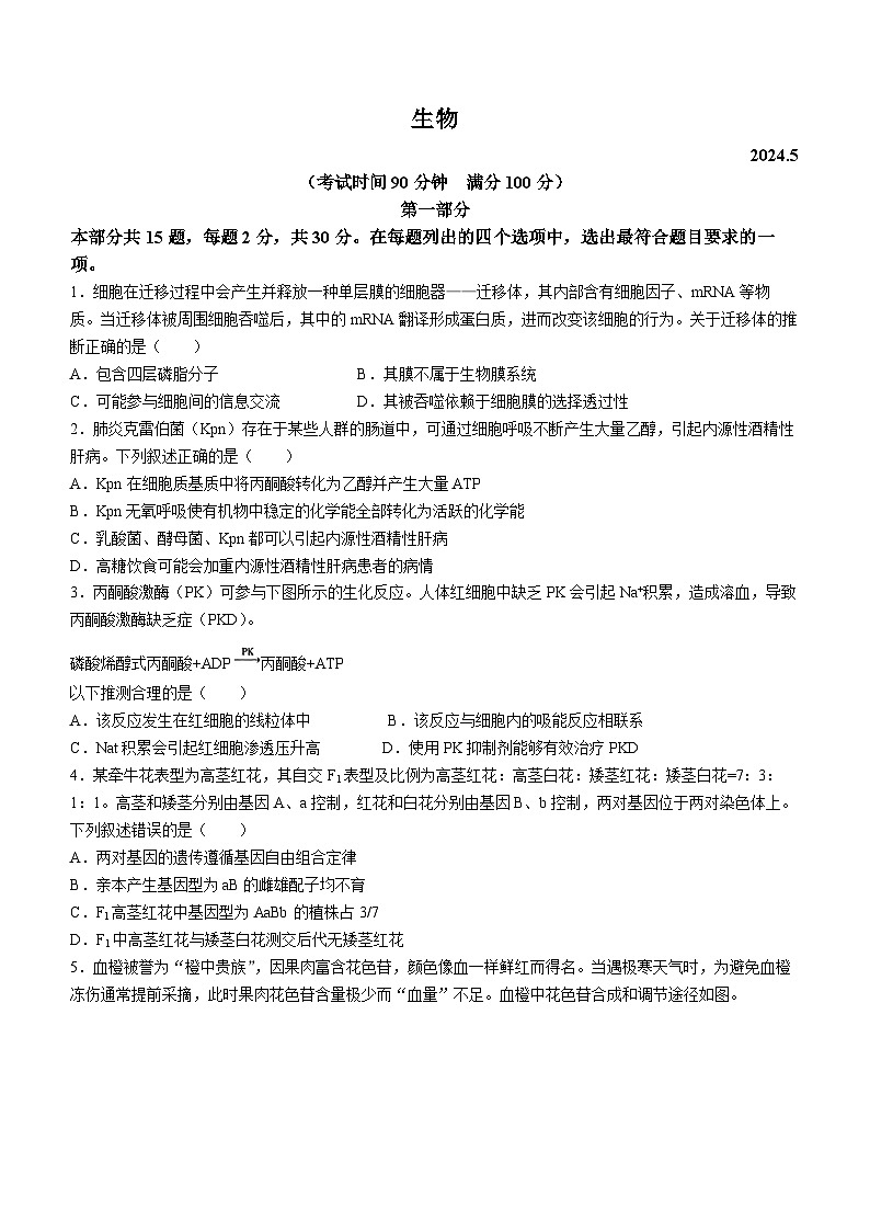 北京市朝阳区2024年高三二模考试生物试题01
