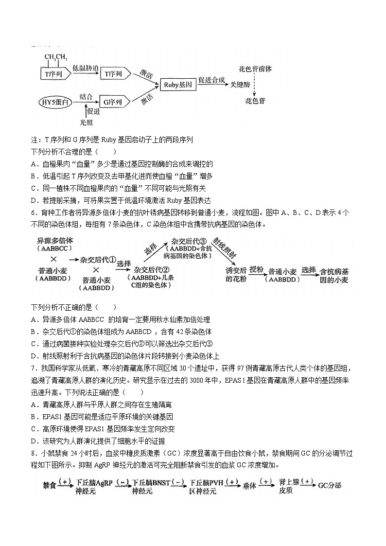 北京市朝阳区2024年高三二模考试生物试题02