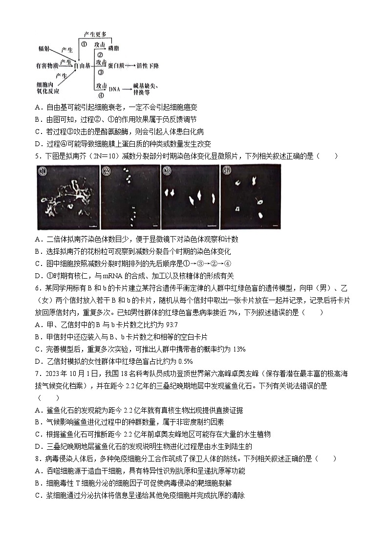 2024届湖南省长沙市一中高三模拟试卷（一）+生物学试题02