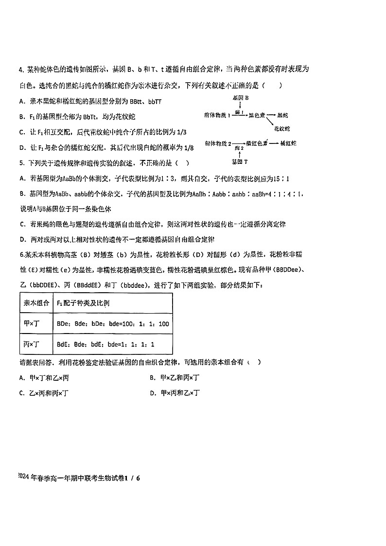 福建省泉州市晋江市养正中学2023-2024学年高一下学期5月期中生物试题02