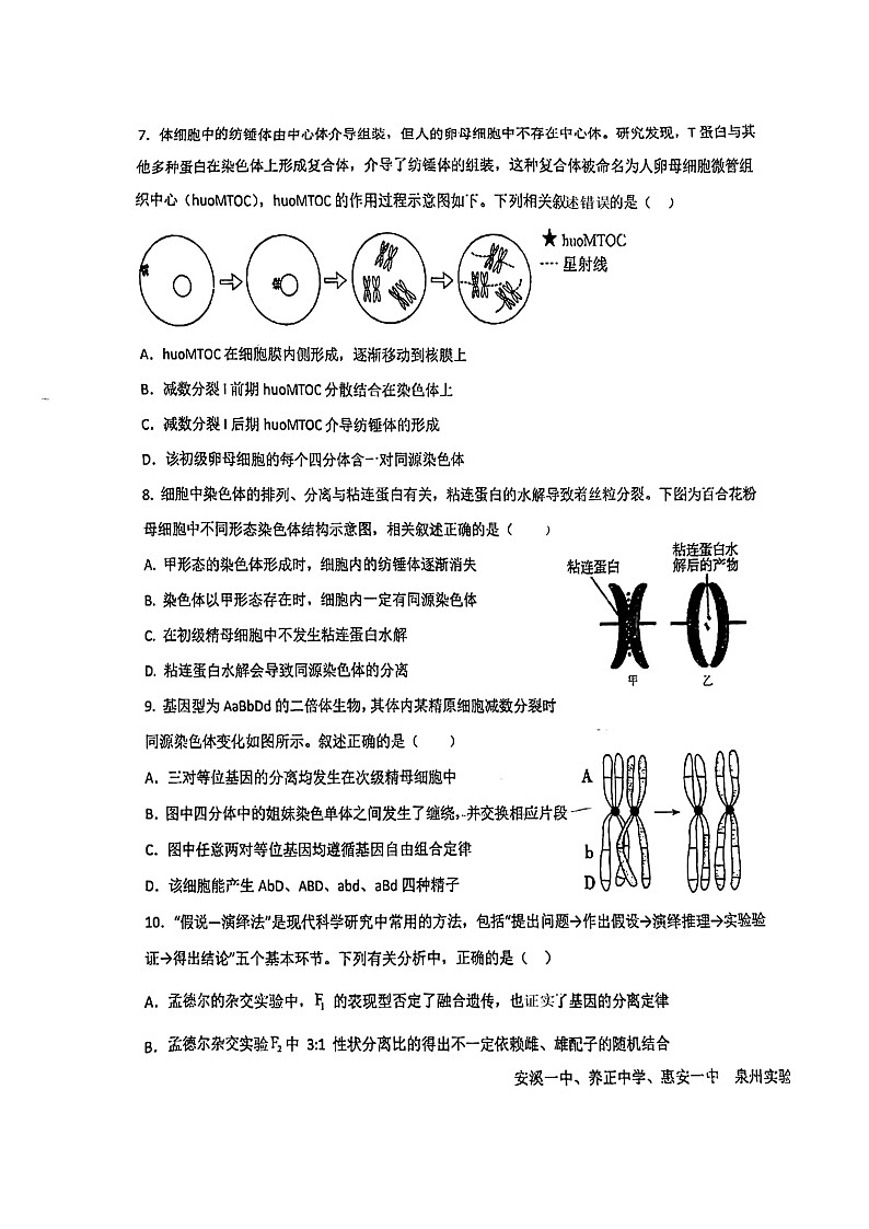 福建省泉州市晋江市养正中学2023-2024学年高一下学期5月期中生物试题03