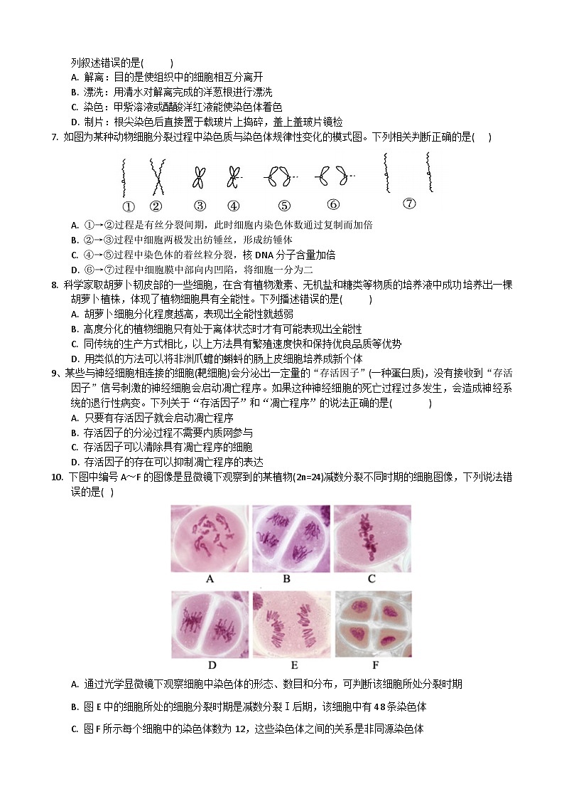 广东省惠州市博罗县2023-2024学年高一下学期5月期中生物试题02