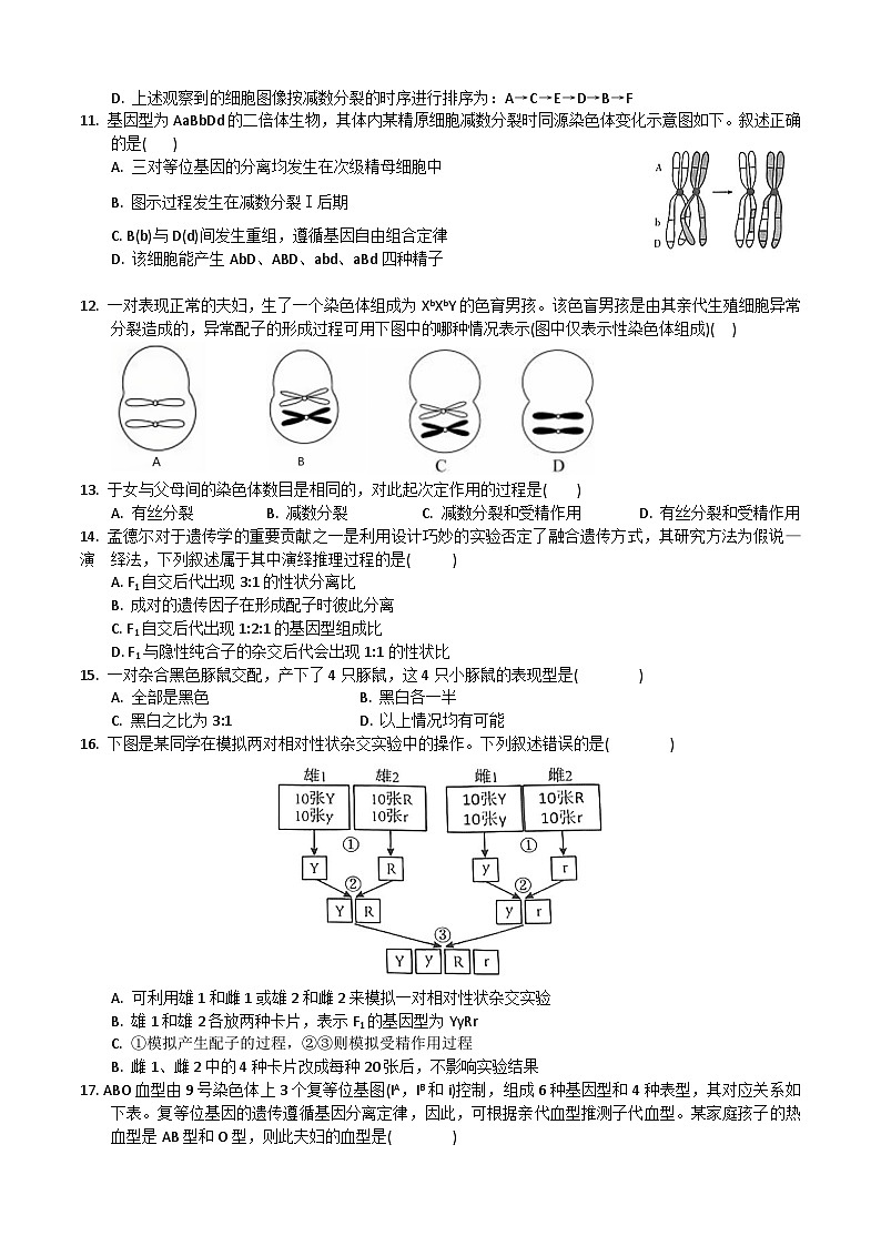 广东省惠州市博罗县2023-2024学年高一下学期5月期中生物试题03