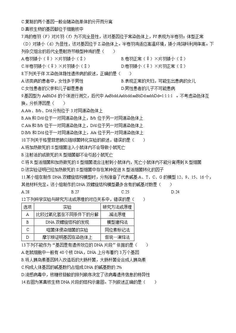吉林省部分名校2023-2024学年高一下学期期中联考生物试卷02