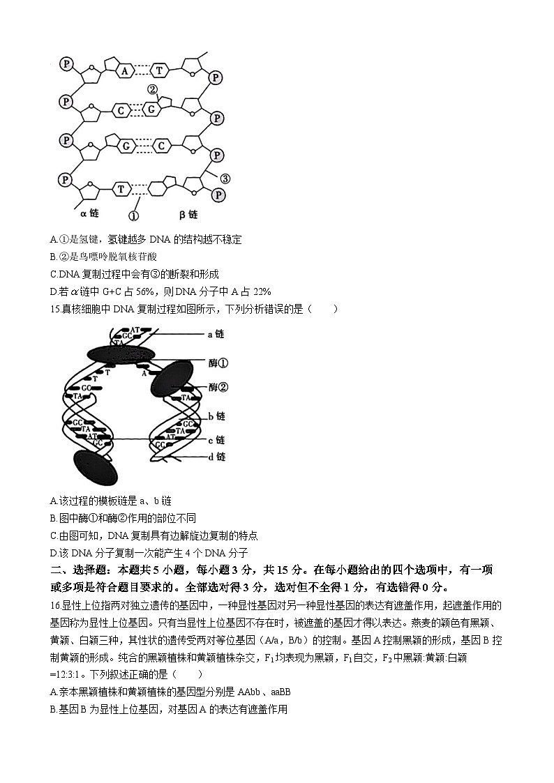 吉林省部分名校2023-2024学年高一下学期期中联考生物试卷03