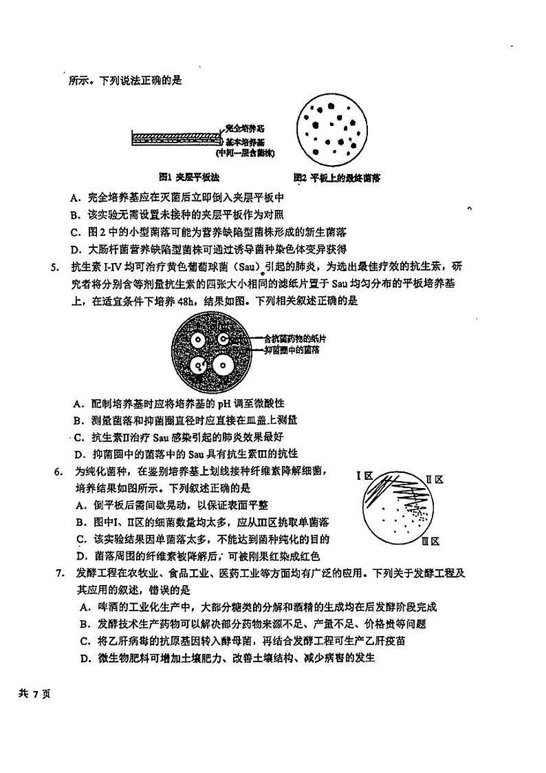 吉林省长春市东北师范大学附属中学2023-2024学年高二下学期期中考试生物试卷02