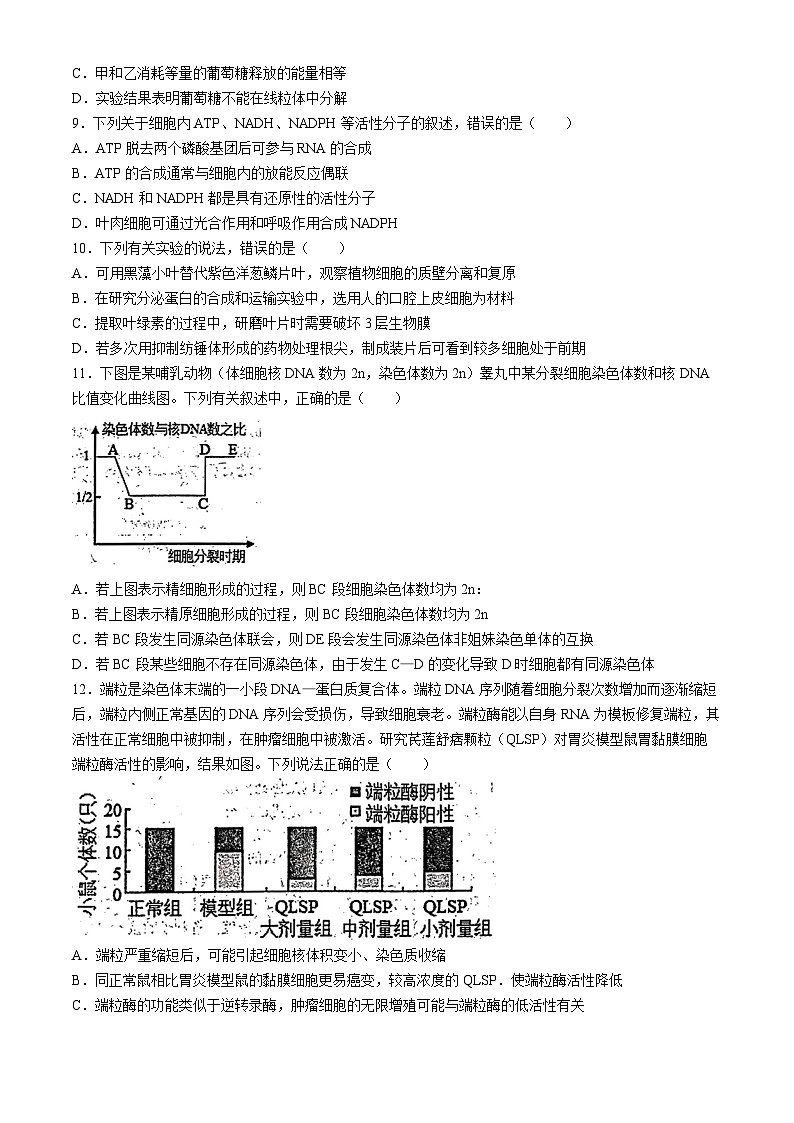 山东省烟台市招远市第二中学2023-2024学年高二下学期期中考试生物试题（卓越班）(无答案)03