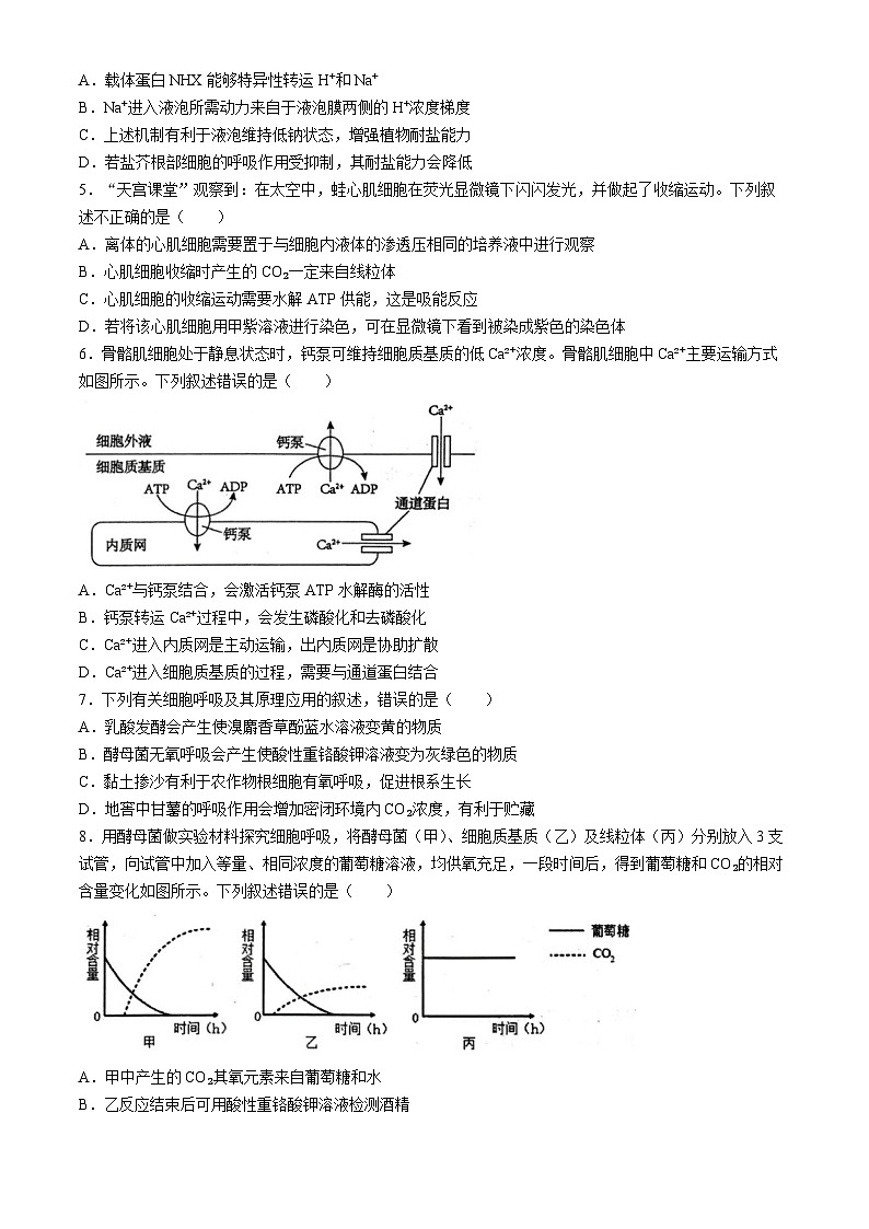 山东省烟台市招远市第二中学2023-2024学年高二下学期期中考试生物试题（卓越班）(无答案)02