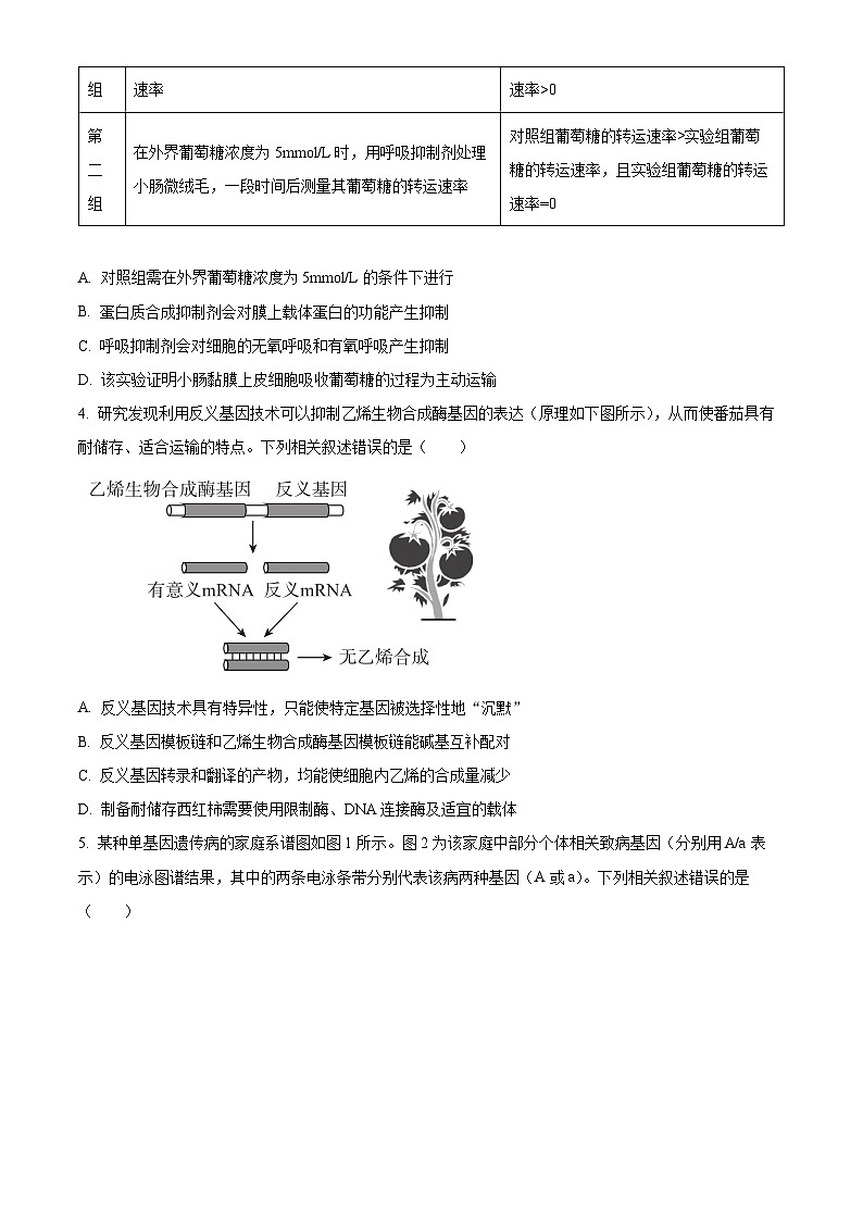 2024届河北省保定市唐县第一中学高三二模生物试题（原卷版+解析版）02