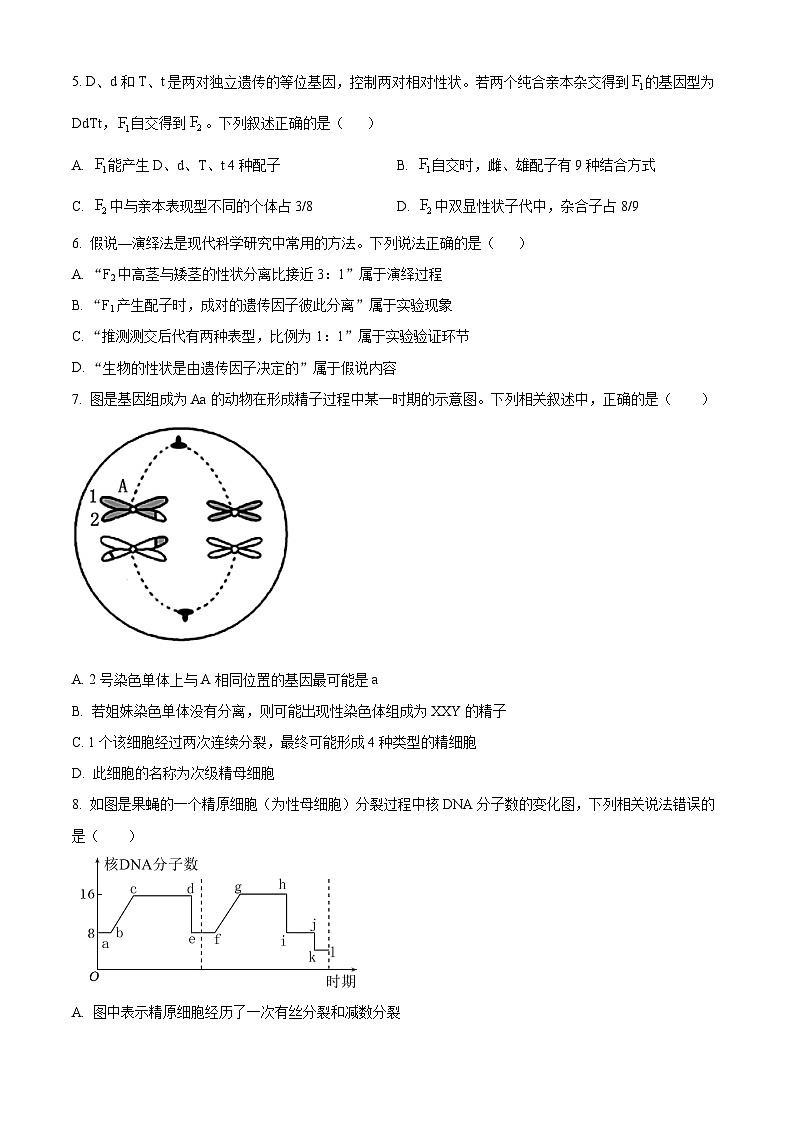 广东省汕头市潮阳黄图盛中学2023-2024学年高一下学期期中考试生物试题（原卷版+解析版）02