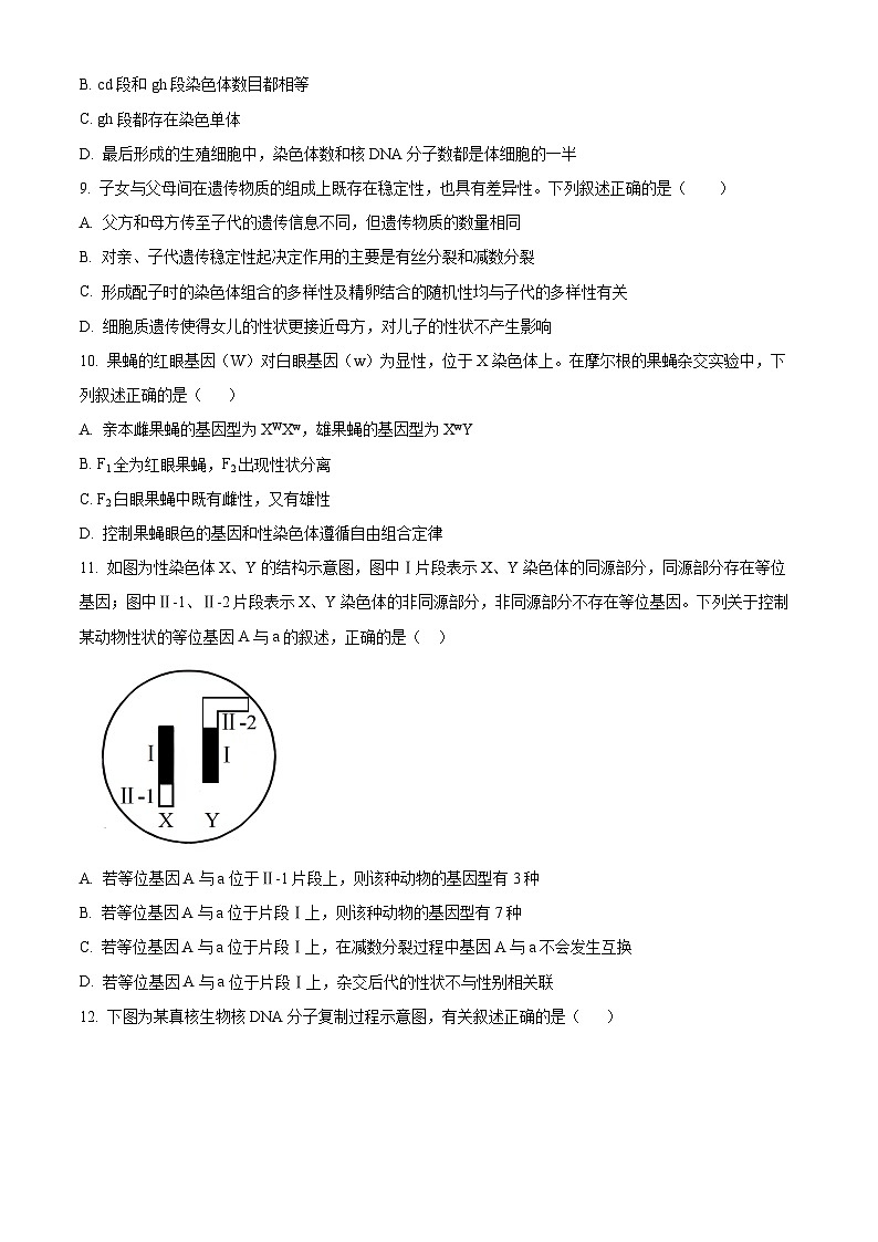 广东省汕头市潮阳黄图盛中学2023-2024学年高一下学期期中考试生物试题（原卷版+解析版）03