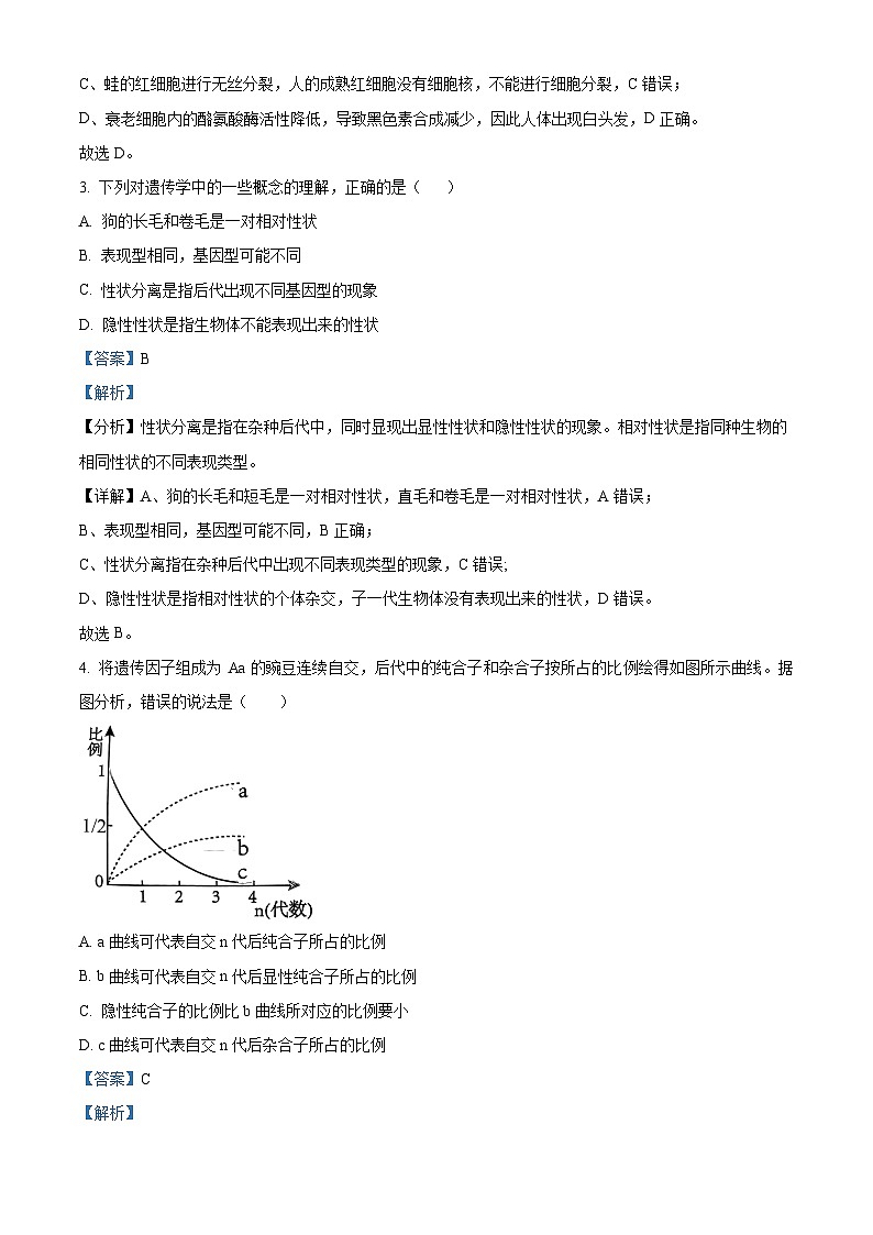广东省汕头市潮阳黄图盛中学2023-2024学年高一下学期期中考试生物试题（原卷版+解析版）02