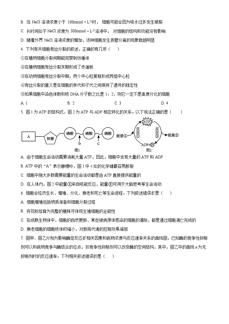 河北省石家庄市长安区第一中学2023-2024学年高一下学期4月月考生物试题（原卷版+解析版）02