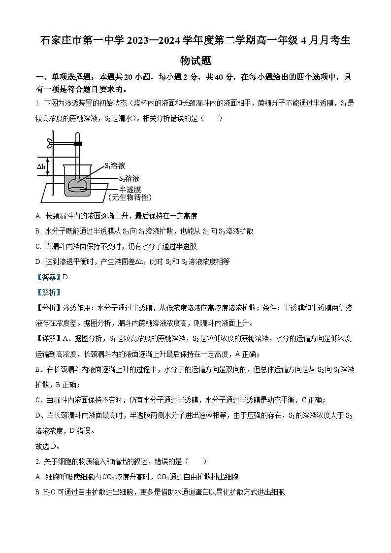 河北省石家庄市长安区第一中学2023-2024学年高一下学期4月月考生物试题（原卷版+解析版）01