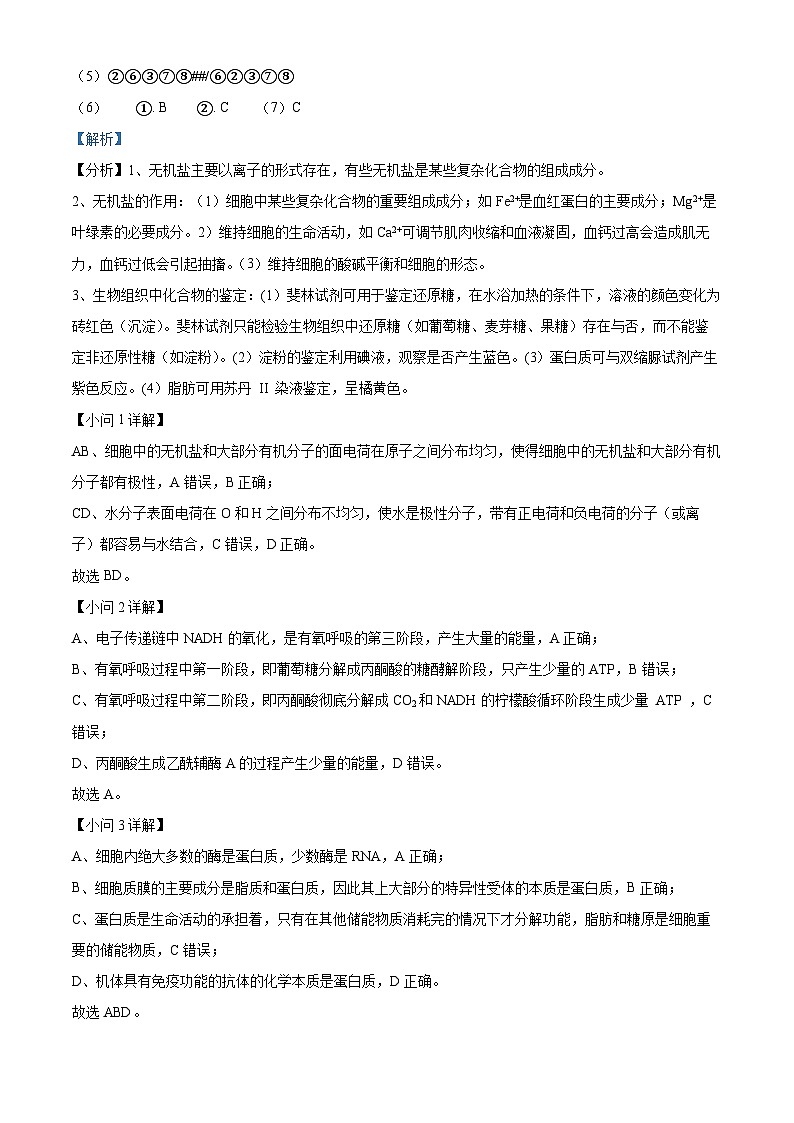 上海市黄浦区敬业中学2023-2024学年高二下学期4月期中生物试题（原卷版+解析版）03