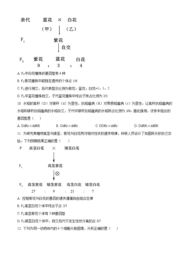 四川省内江市第二中学2023-2024学年高一下学期期中考试生物试题（原卷版）第3页
