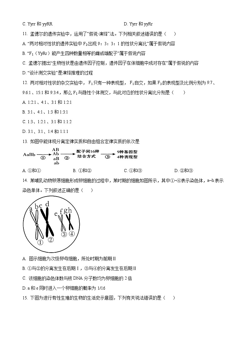 四川省仁寿第一中学校（北校区）2023-2024学年高一下学期4月月考生物试题（原卷版）第3页