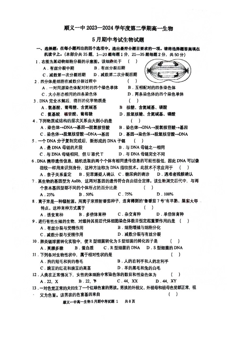 2024北京顺义一中高一下学期期中生物试卷及答案第1页
