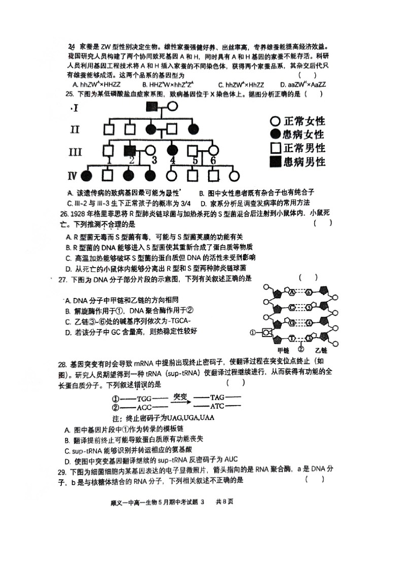 2024北京顺义一中高一下学期期中生物试卷及答案第3页