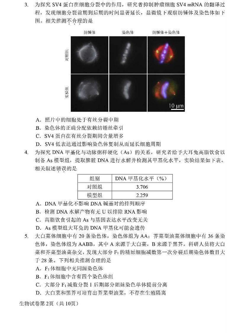 2024北京昌平高三二模生物试题及答案第2页