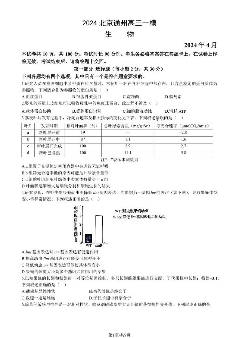 2024北京通州高三一模生物试题及答案01