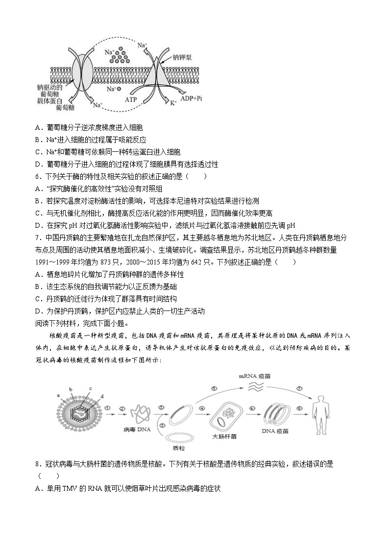 2024浙江省浙南名校高二下学期4月期中联考试题生物含答案第2页