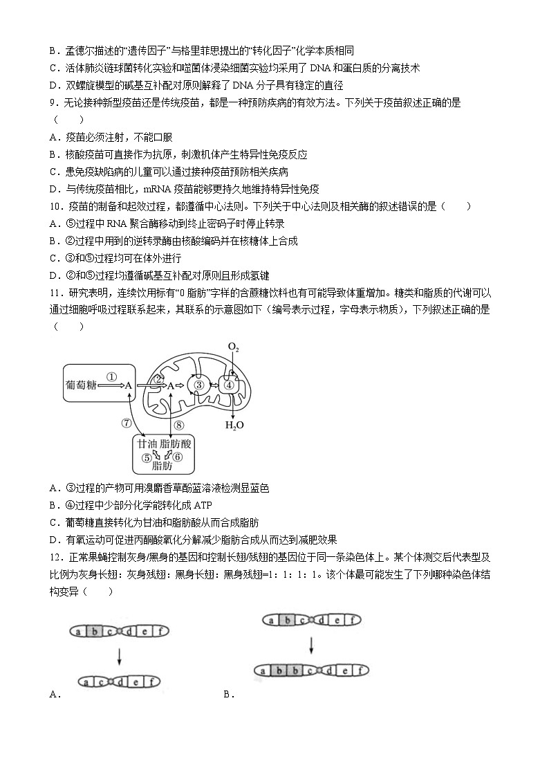 2024浙江省浙南名校高二下学期4月期中联考试题生物含答案第3页
