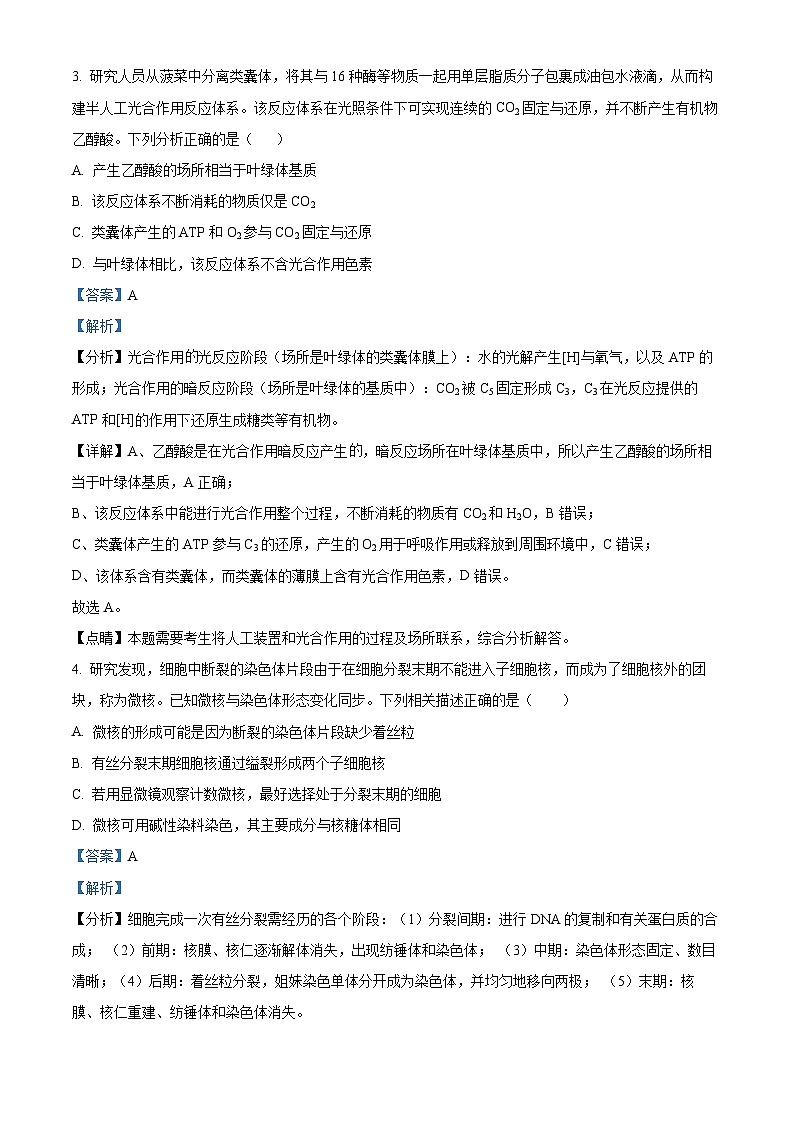 2024岳阳岳阳县一中高一下学期4月期中考试生物试题含解析02