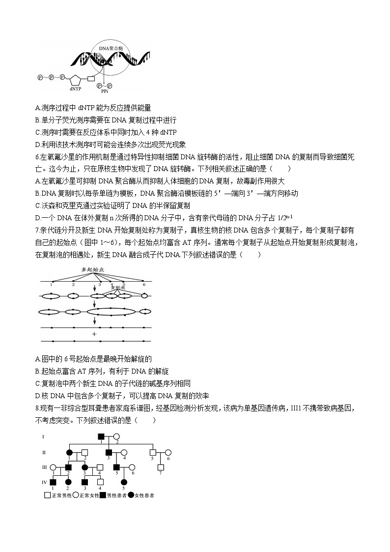 2024南昌一中高一下学期4月期中生物试题02