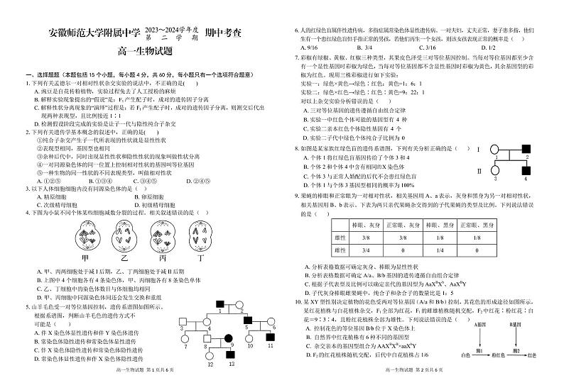 2024安徽师大附中高一下学期4月期中考试生物PDF版含答案（可编辑）01