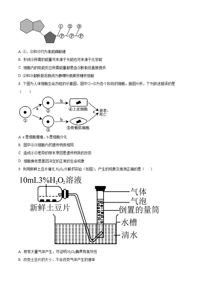 2024台州山海协作体高一下学期4月期中考试生物含解析03