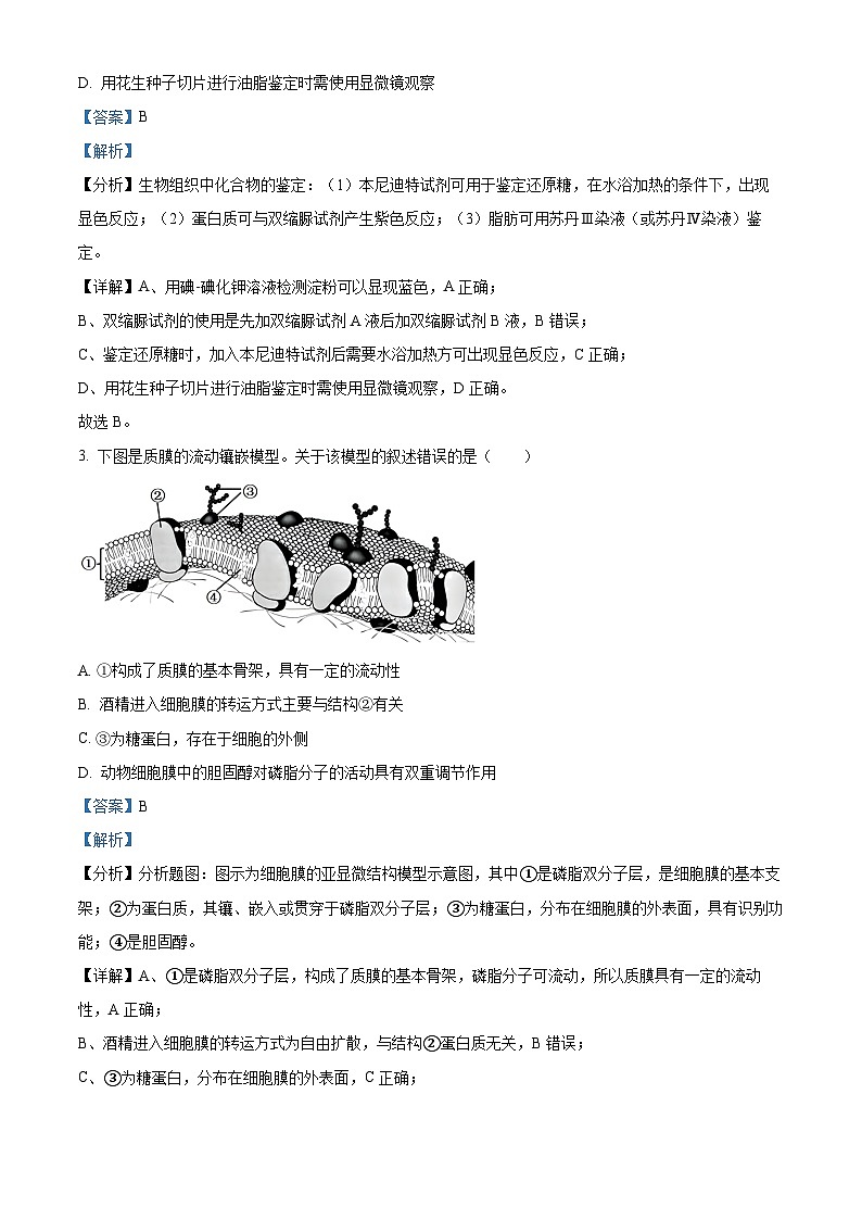 2024台州山海协作体高一下学期4月期中考试生物含解析02