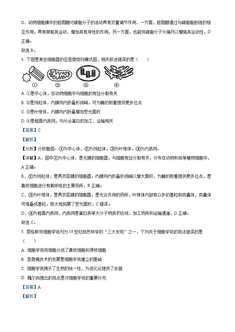 2024台州山海协作体高一下学期4月期中考试生物含解析03