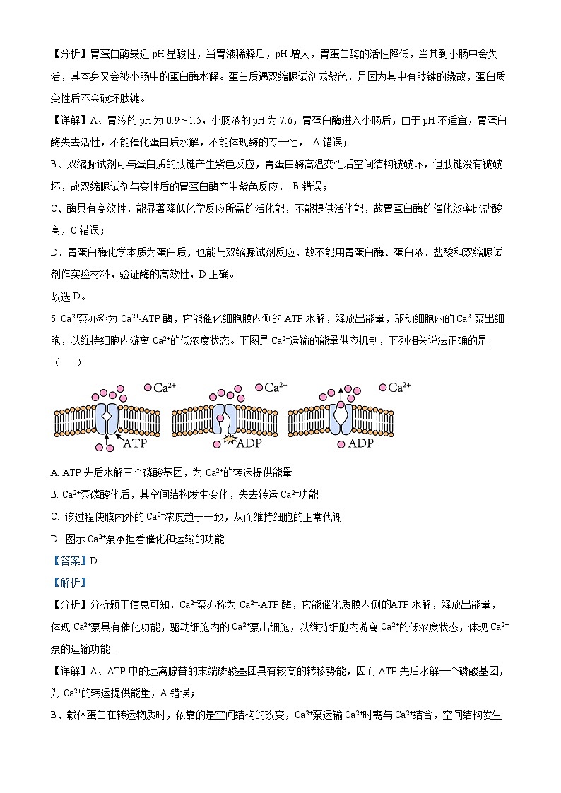 2024宜昌部分省级示范高中高一下学期期中联考生物试题含解析03