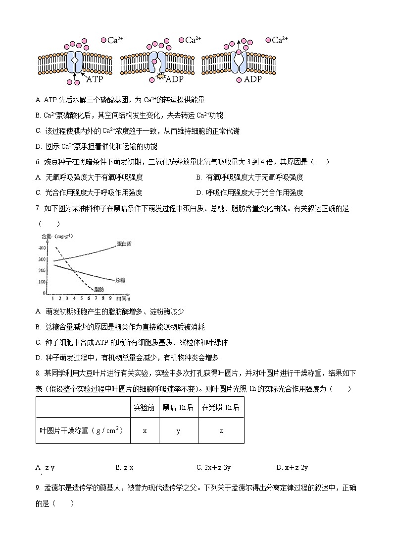 2024宜昌部分省级示范高中高一下学期期中联考生物试题含解析02