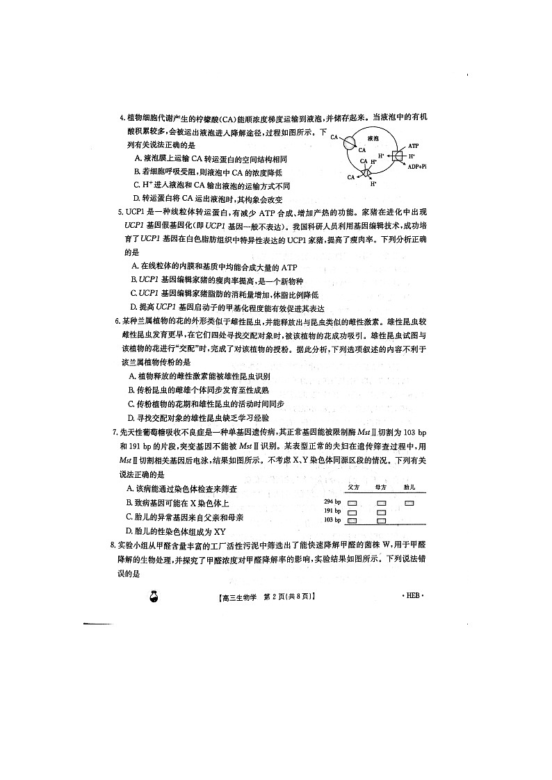 2024届贵州省安顺市部分学校高三下学期模拟考试生物试题第2页