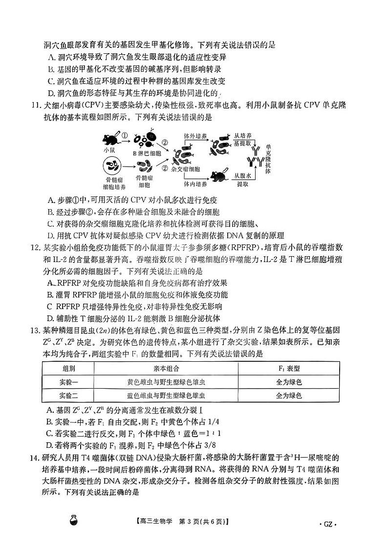 2024届贵州省安顺市部分学校高三下学期模拟考试生物试题第3页