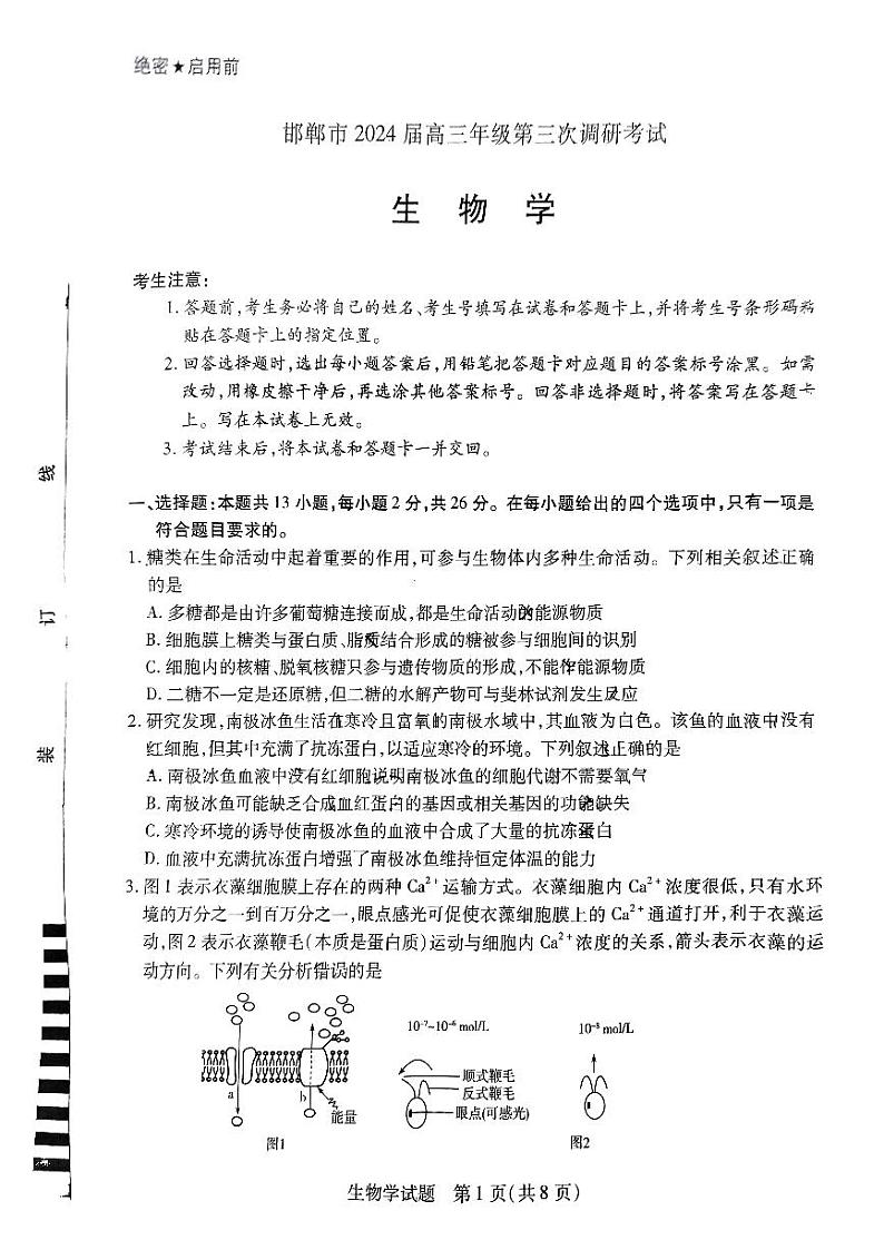2024届河北省邯郸市高三第三次调研(一模)考试生物试题01