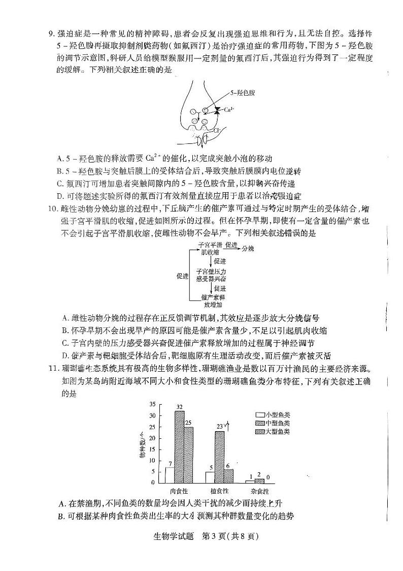 2024届河北省邯郸市高三第三次调研(一模)考试生物试题03