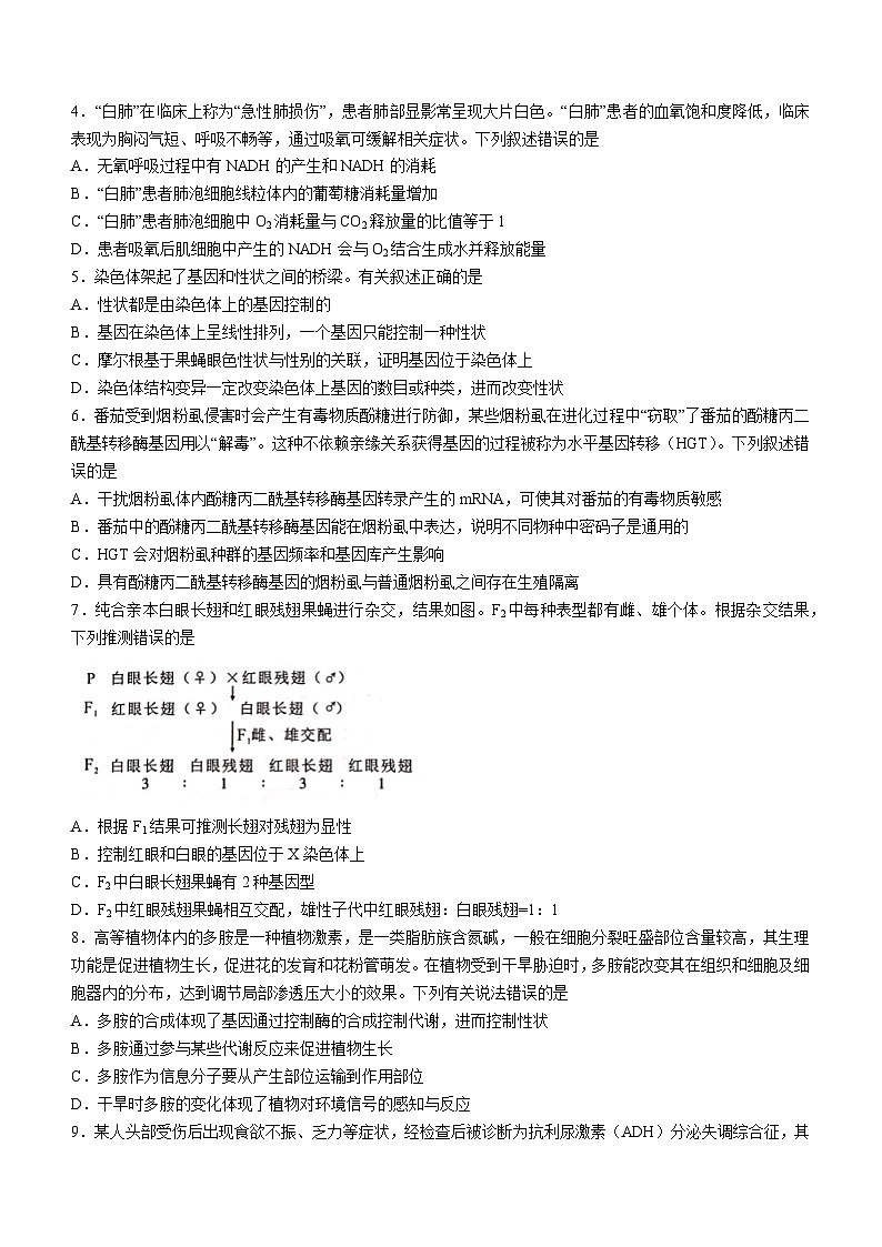 广西壮族自治区柳州高中、南宁三中2023—2024学年高三下学期联考生物试题(无答案)02