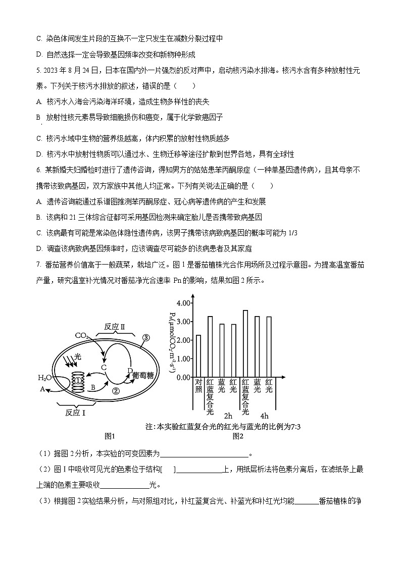 2024届宁夏宁夏石嘴山三中高三三模考试生物试题（原卷版+解析版）02