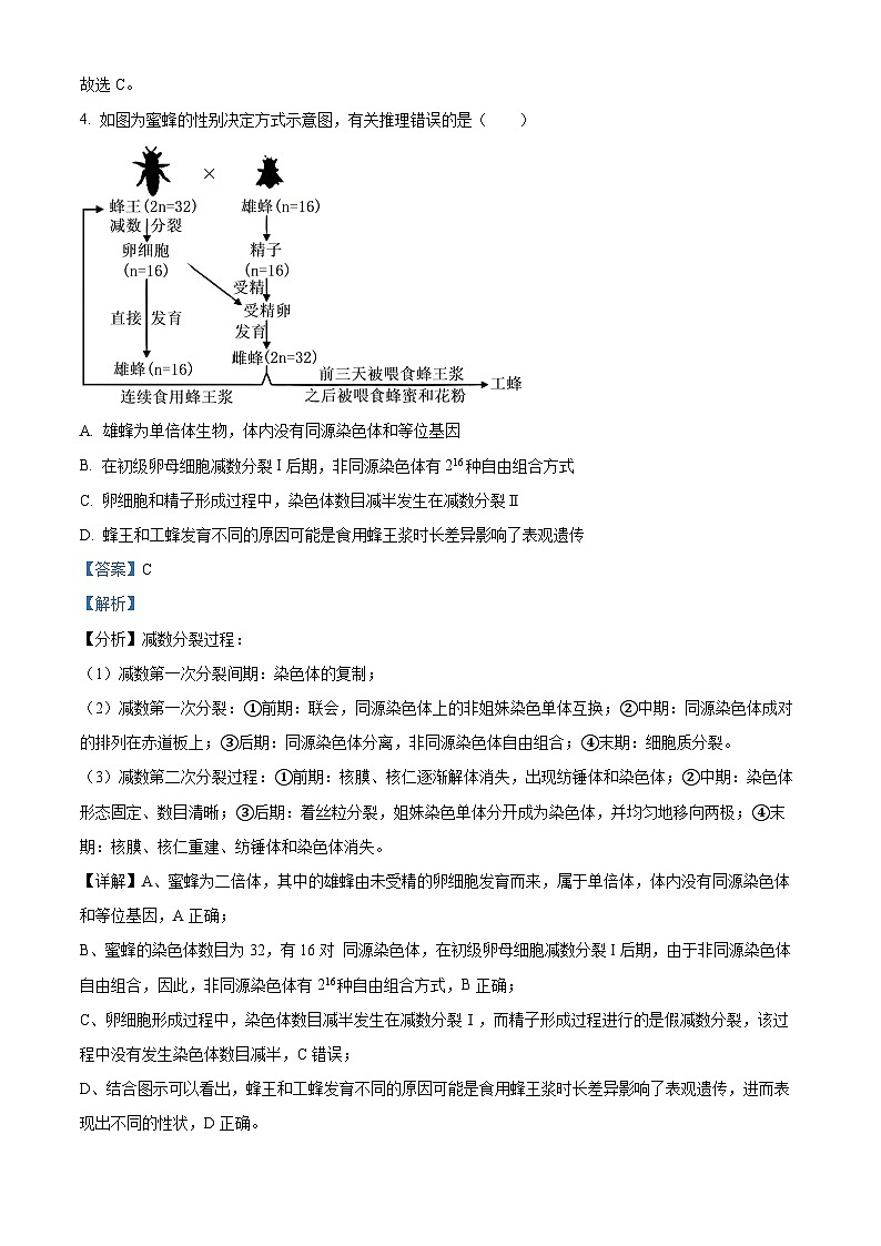 福建省福州市鼓楼区第三中学2023-2024学年高三下学期第十六次检测（三模）生物试题（解析版）第3页