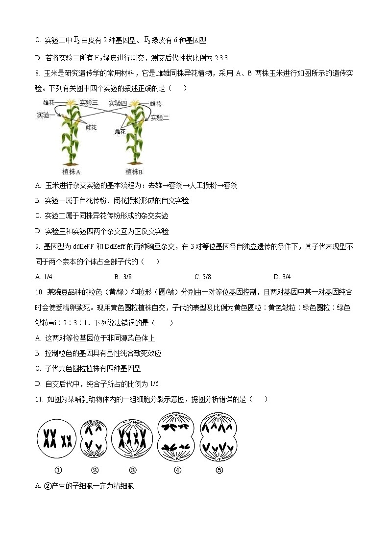 陕西省咸阳市武功县普集高级中学2023-2024学年高一下学期期中考试生物试题（原卷版+解析版）03