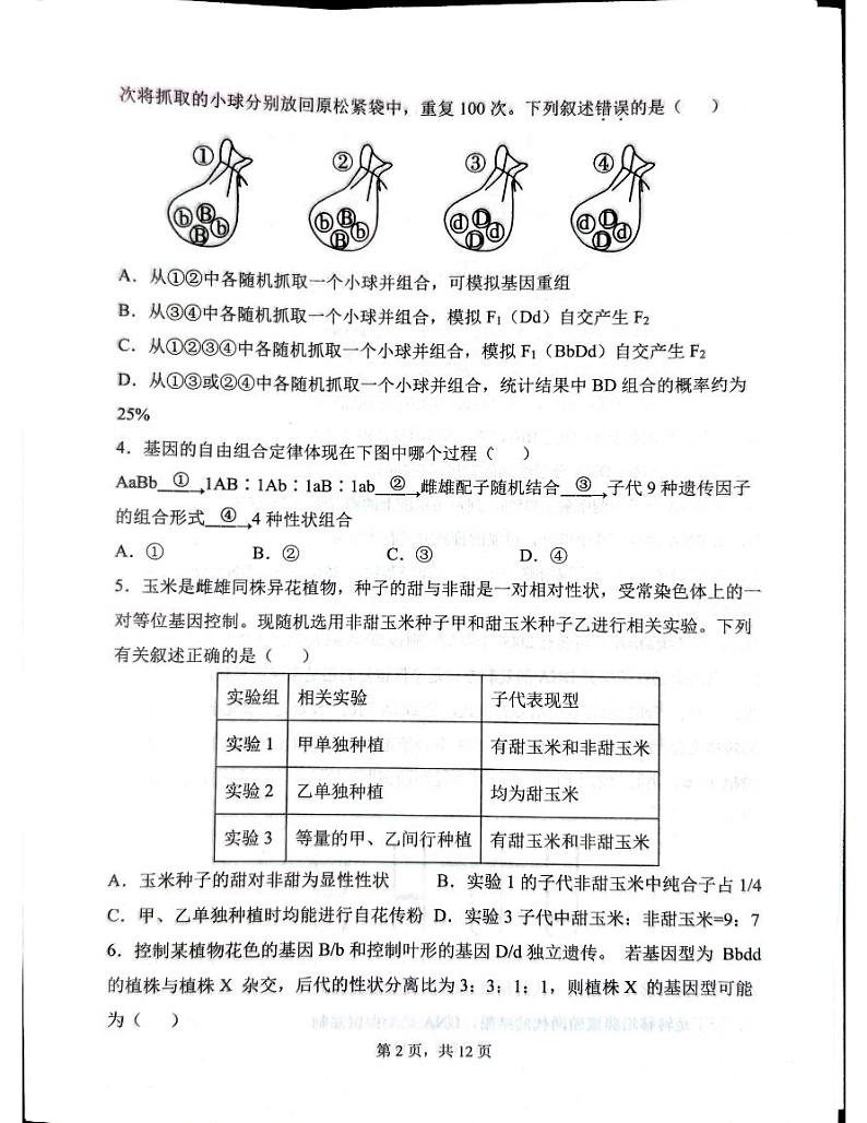 云南省红河哈尼族彝族自治州2023-2024学年高一下学期5月期中考试生物试题第2页