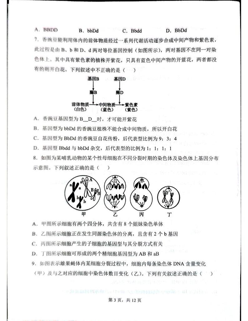 云南省红河哈尼族彝族自治州2023-2024学年高一下学期5月期中考试生物试题第3页