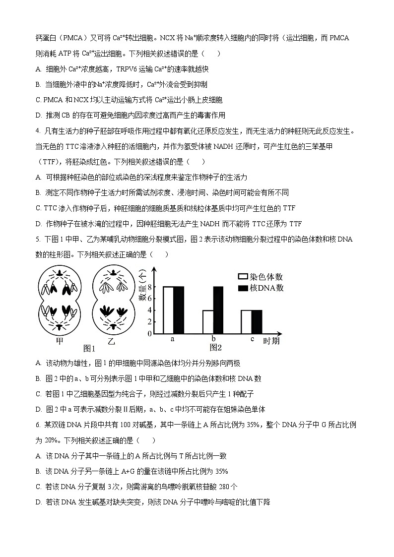 2024届河北省沧州市部分高中高三下学期二模生物试题（原卷版+解析版）02